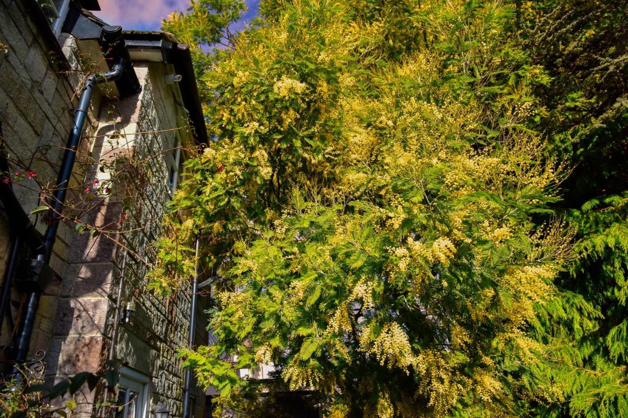 Ward Avenue B&B Cowes  Exterior foto